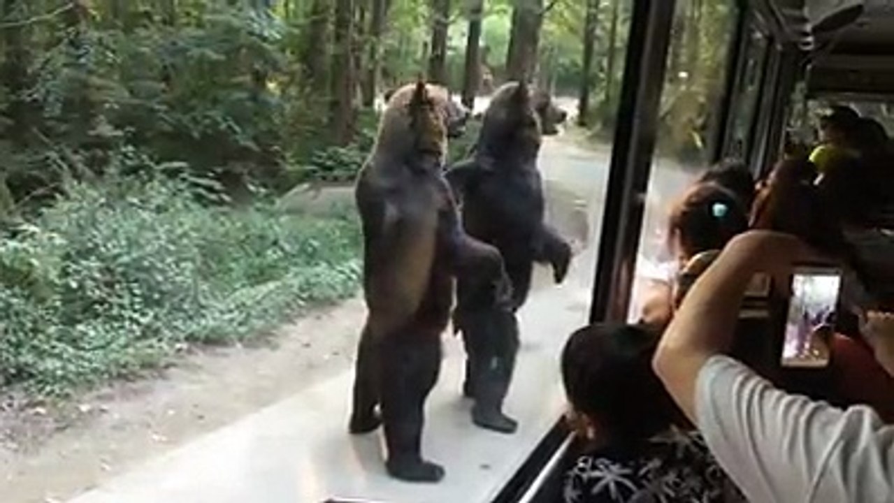 People laughing and enjoying to giving  some food to rich for eat