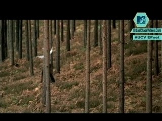 Coldplay - The Scientist