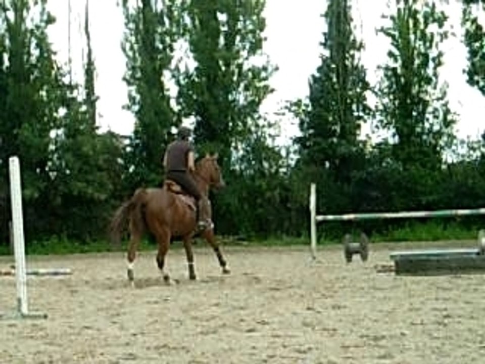 DSCN8125
