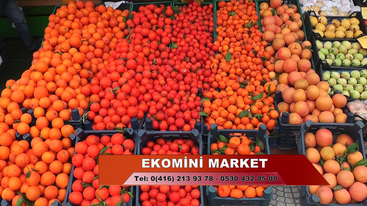 EKOMİNİ