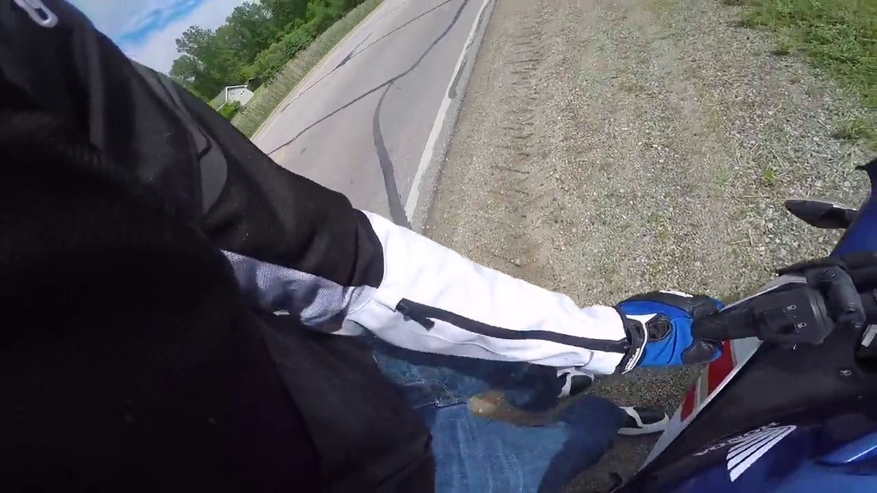Il vient d'avoir son permis moto et se prend une biche de face.. Pas de chance