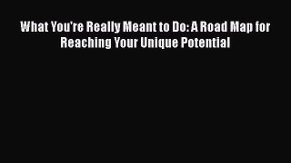 Download What You're Really Meant to Do: A Road Map for Reaching Your Unique Potential PDF