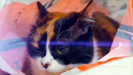 Огненные пальцы | ПРОВЕРКА ЛАЙФХАКОВ с канала Slivki Show