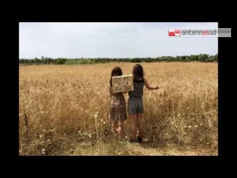 Tg Antenna Sud - Rapporto shock di Arpa Puglia, frutta contaminata