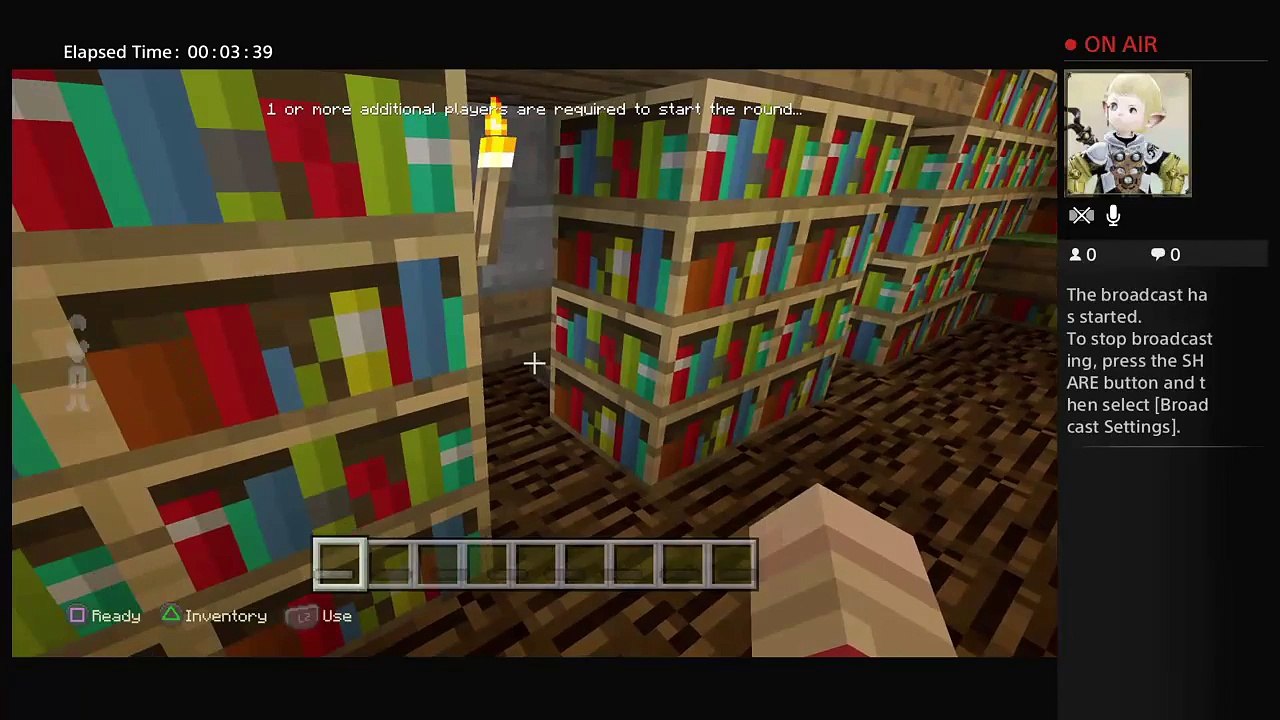 Minecraft #1 (2)