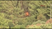 Kumluca'daki Orman Yangını Büyüyor- Ek