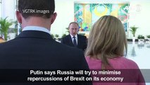Putin says Russia to try to minimise Brexit repercussions