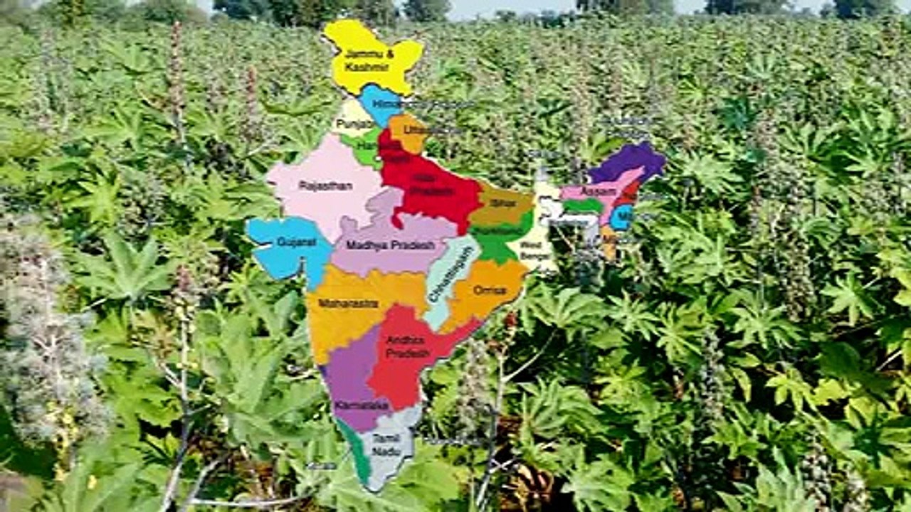 Girnar Industries Documentry 2016