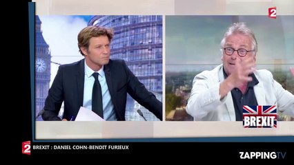 Brexit - Daniel Cohn-Bendit pousse un coup de gueule : "C’est la victoire du mensonge" (Vidéo)