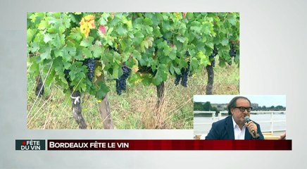 En direct - La fête du vin du vendredi 24 juin (partie 1)
