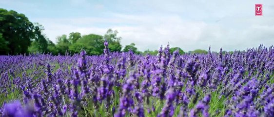 BOL DO NA ZARA Full Video Song | AZHAR | Emraan Hashmi, Nargis Fakhri | Armaan Malik, Amaal Mallik