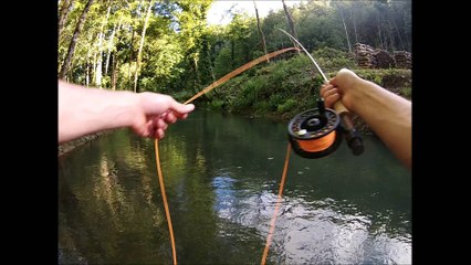 Am GoPro Fario mouche 2016