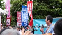 6/5 柿崎繁さん（明治大学商学部教授）スピーチ（明日を決めるのは私たち － 政治を変えよう！6.5全国総がかり大行動） H