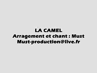 LA CAMEL Live 2-Cheb Must-