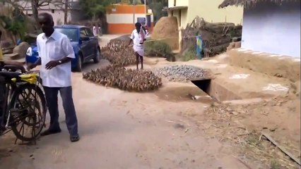 Такого еще никогда не видела