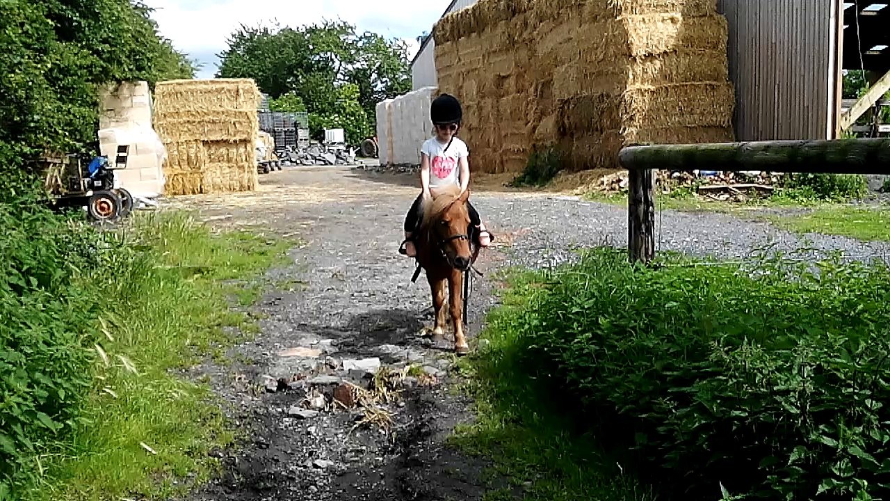 VID_20160622_161911