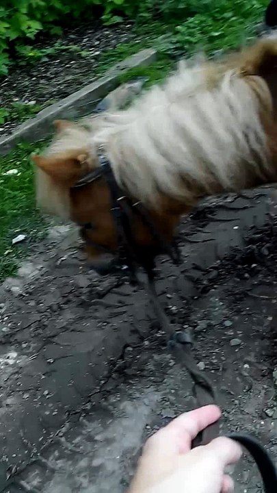 VID_20160622_163443_0024