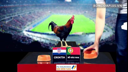 Treasury predicts chickens within 1/8 EURO : Croatia - Portugal