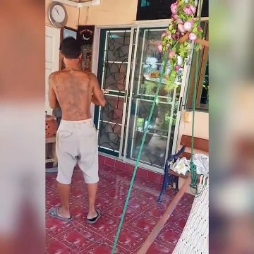 Quand tu as ce genre d'animal de compagnie...