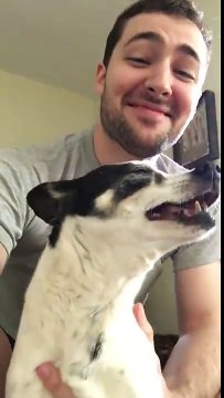 La réaction drôle d'un chien rhumé