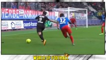 HATEM BEN ARFA _ Nice _ Goals, Skills, Assists _ 2015_2016  (HD)