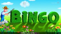 BINGO Dog Song - Nursery Rhyme With Lyrics - Cartoon Animation Rhymes & Songs for Children -