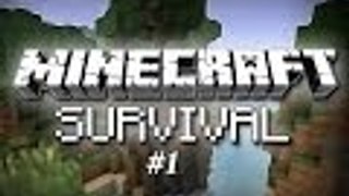Minecraft-Survival-BASICS!