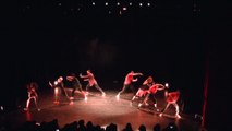 Gala D-Light 2016 (Partie 2) - L'armée des ombres + Fusion