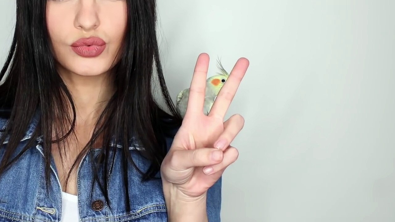 Everyday makeup tutorial! 2016