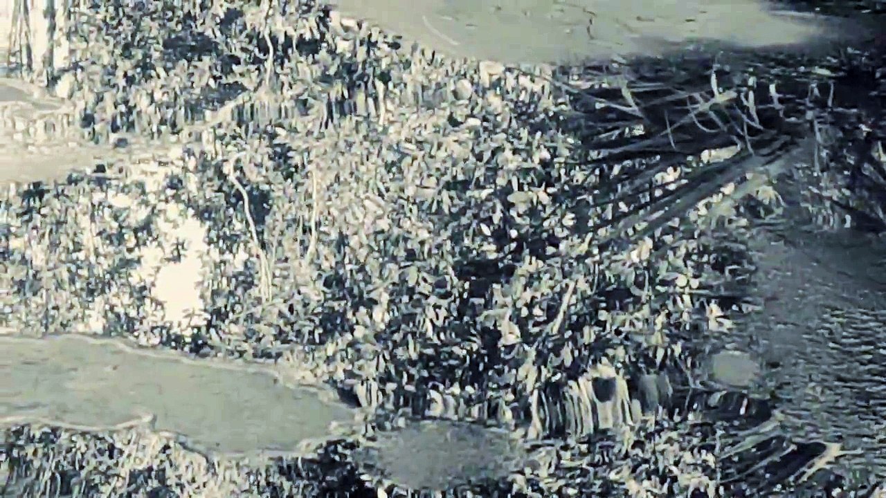Migration
