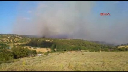 Edirne Alevler Yazlıkların Bulunduğu Bölgeye İlerliyor