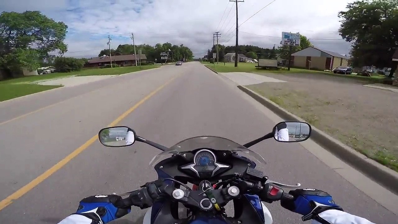 Un motard percute une biche 5 minutes après avoir reçu son permis