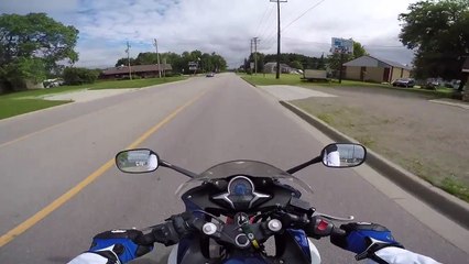 Un motard percute une biche 5 minutes après avoir reçu son permis