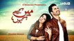 Main Kaisay Kahoon Episode 24 Urdu1