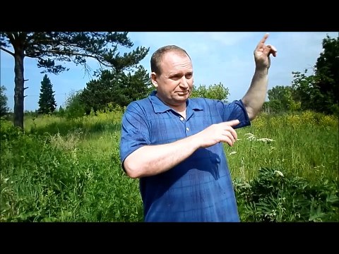 как смотреть весь старый дом в чистоте или нет