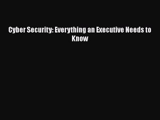 PDF Cyber Security: Everything an Executive Needs to Know  Read Online