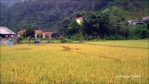 Mu Cang Chai Ban Thai Village 2 Yen Bai Province Vietnam - Lotussia Travel