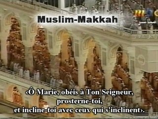 Shuraim en 1423-2002