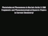 Read Photoinduced Phenomena in Nucleic Acids II: DNA Fragments and Phenomenological Aspects