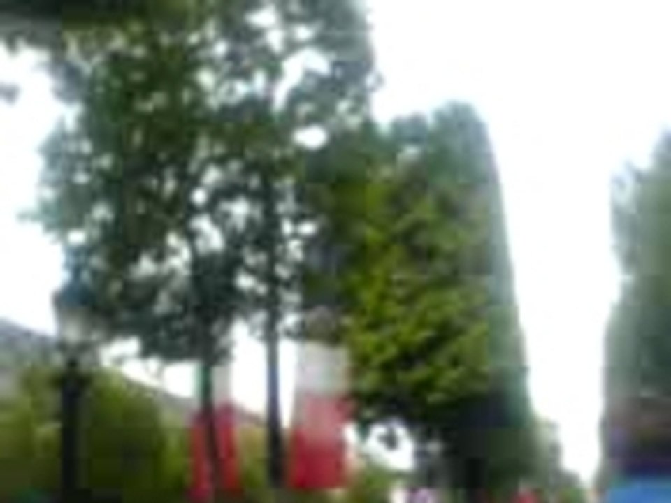 les avions de chasse au défilé