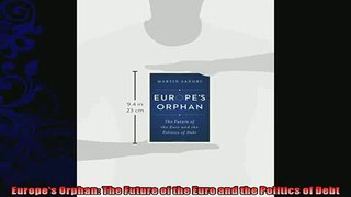behold  Europes Orphan The Future of the Euro and the Politics of Debt
