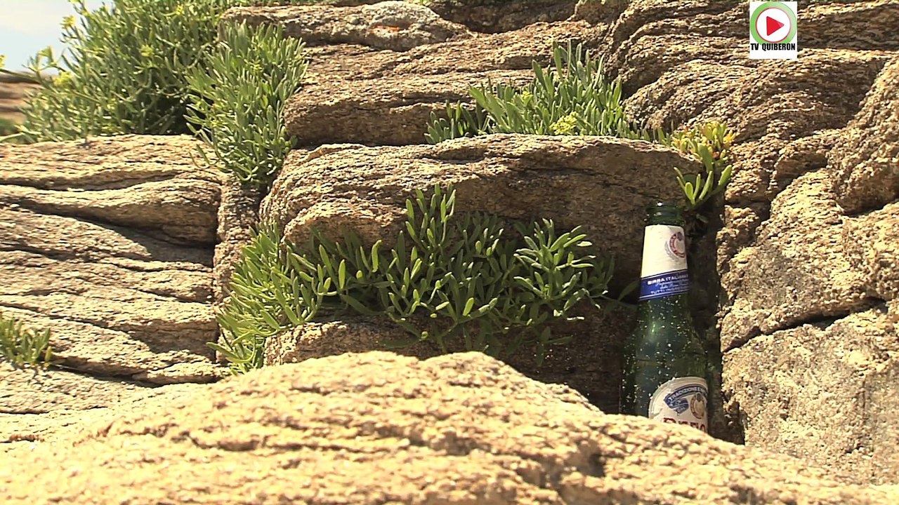 Quiberon  |   La Thalasso nettoie la Plage  |  Bretagne Télé