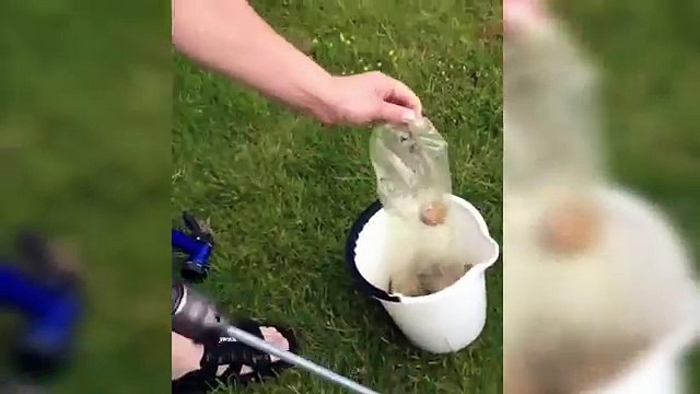 Как почистить ВЕДРО КАРТОШКИ за одну минуту Быстрый способ почистить картошку