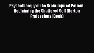 Download Book Psychotherapy of the Brain-Injured Patient: Reclaiming the Shattered Self (Norton