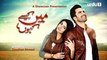 Main Kaisay Kahun Episode 24 in HD on Urdu1 in High Quality 25th 25 June 2016 watch now free full latest new hd drama st