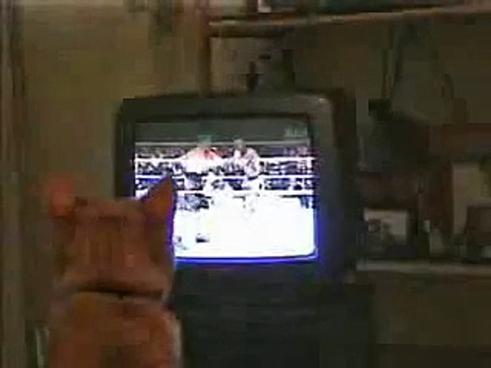 Приколы с животными