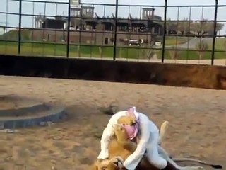 Man fights with Lion animal