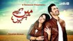 Main Kaisay Kahun Episode 24 on Urdu1 25th June 2016