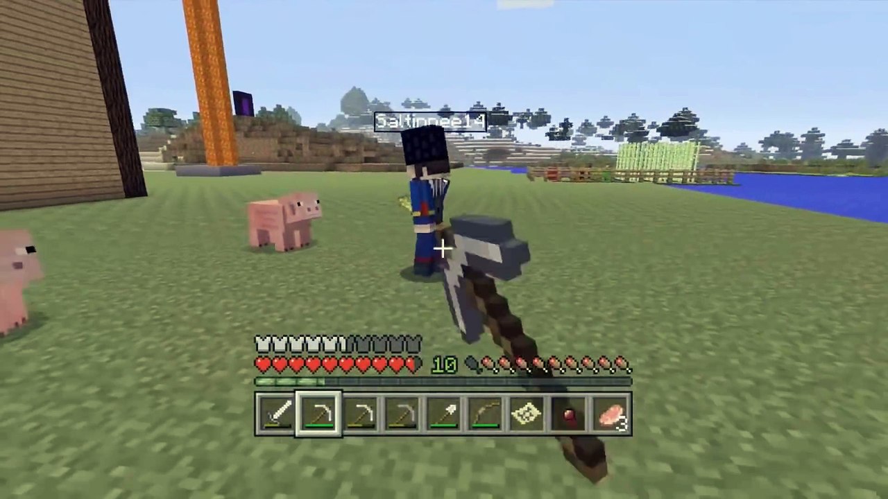 Trolling a 7 Year Old in Minecraft