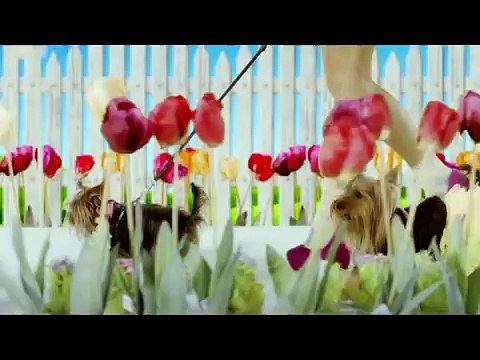 ЕМАНУЕЛА Стой далече _ EMANUELA Stoy daleche